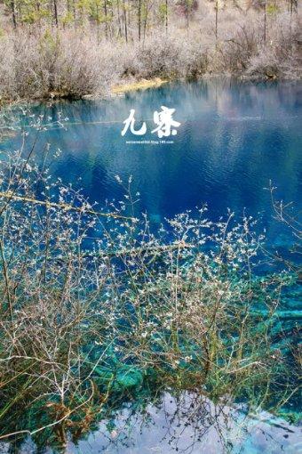 风色幻想XX